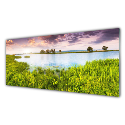 Tableaux sur verre Lac herbe nature vert bleu