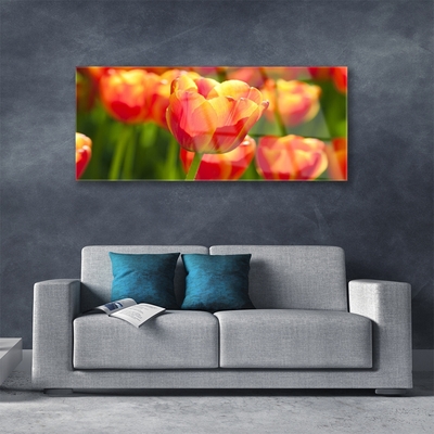 Tableaux sur verre Tulipes floral jaune rouge