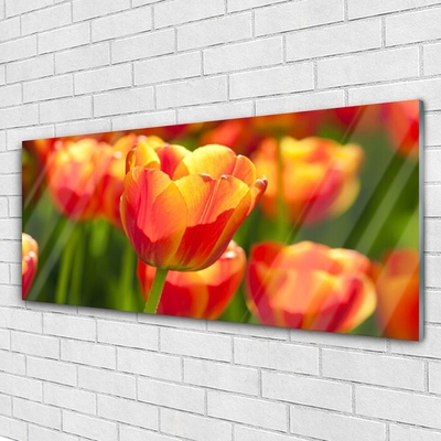 Tableaux sur verre Tulipes floral jaune rouge