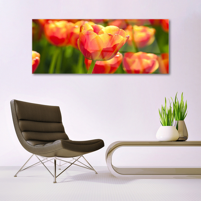 Tableaux sur verre Tulipes floral jaune rouge