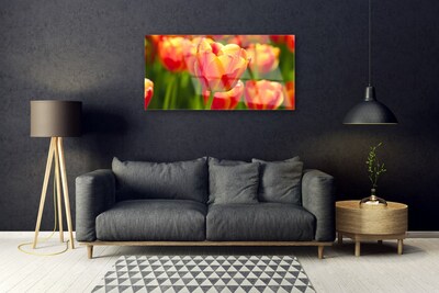 Tableaux sur verre Tulipes floral jaune rouge