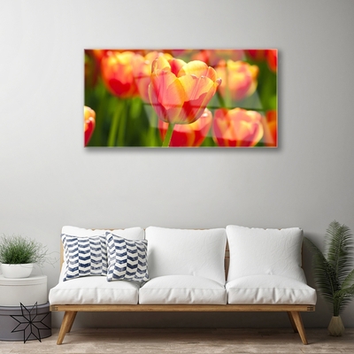 Tableaux sur verre Tulipes floral jaune rouge