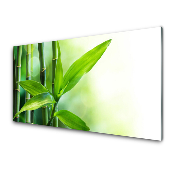 Tableaux sur verre Bambou floral vert