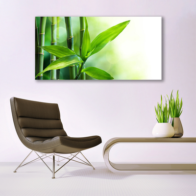 Tableaux sur verre Bambou floral vert