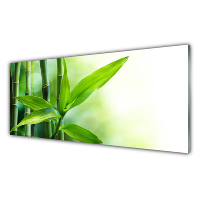 Tableaux sur verre Bambou floral vert