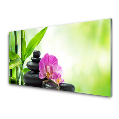 Tableaux sur verre Pierres fleurs bambou floral vert noir rose