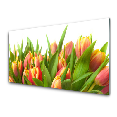 Tableaux sur verre Tulipes floral orange jaune