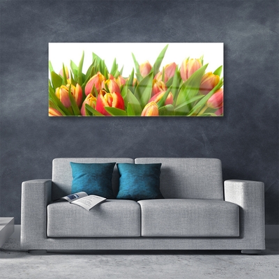 Tableaux sur verre Tulipes floral orange jaune