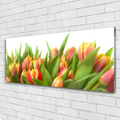 Tableaux sur verre Tulipes floral orange jaune