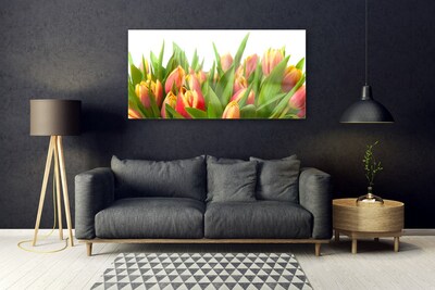 Tableaux sur verre Tulipes floral orange jaune