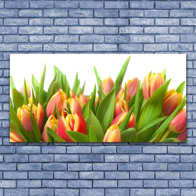 Tableaux sur verre Tulipes floral orange jaune