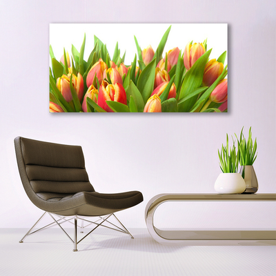 Tableaux sur verre Tulipes floral orange jaune