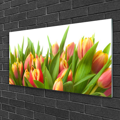 Tableaux sur verre Tulipes floral orange jaune