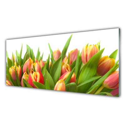 Tableaux sur verre Tulipes floral orange jaune