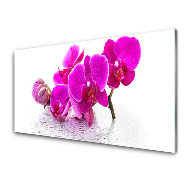 Tableaux sur verre Fleurs floral rose