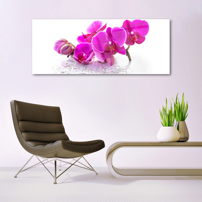 Tableaux sur verre Fleurs floral rose