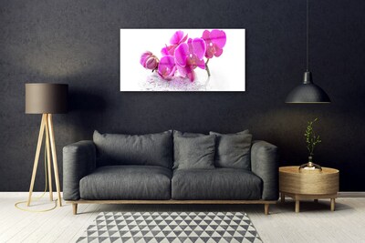 Tableaux sur verre Fleurs floral rose