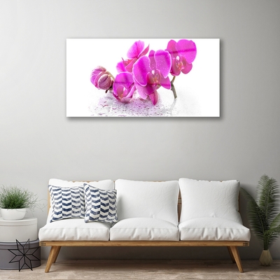 Tableaux sur verre Fleurs floral rose