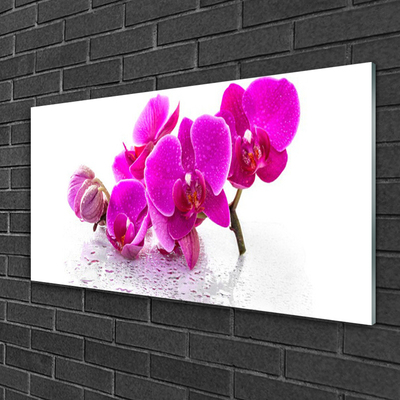 Tableaux sur verre Fleurs floral rose