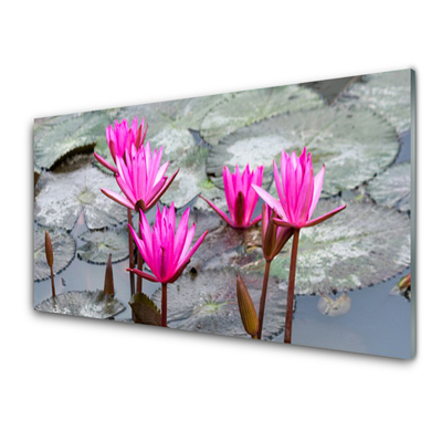 Tableaux sur verre Fleurs floral rouge