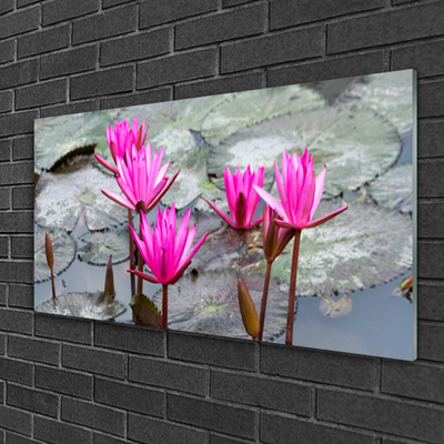 Tableaux sur verre Fleurs floral rouge