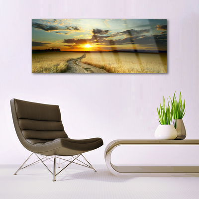 Tableaux sur verre Chemin prairie paysage gris jaune