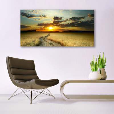 Tableaux sur verre Chemin prairie paysage gris jaune