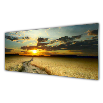 Tableaux sur verre Chemin prairie paysage gris jaune