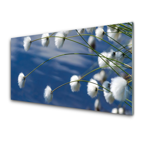 Tableaux sur verre Fleurs floral blanc