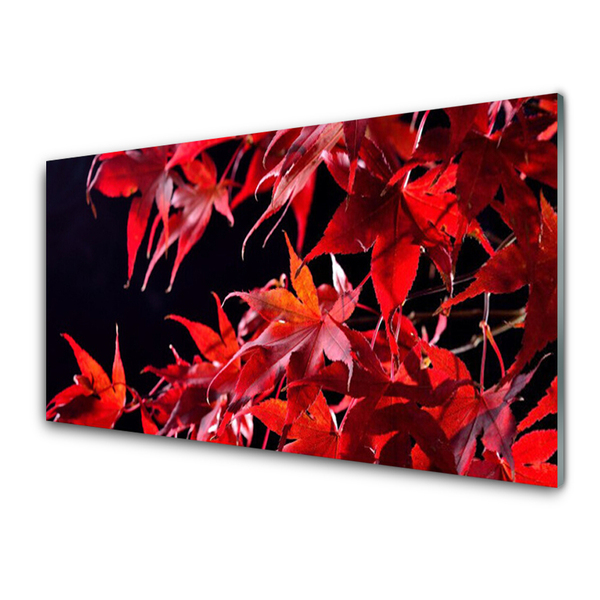 Tableaux sur verre Feuilles floral orange