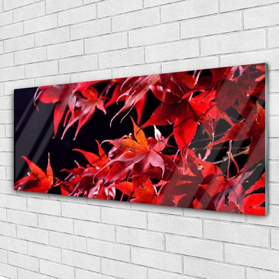 Tableaux sur verre Feuilles floral orange