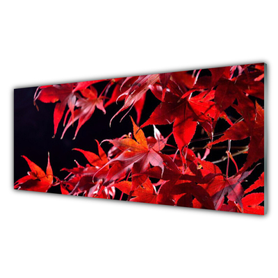 Tableaux sur verre Feuilles floral orange