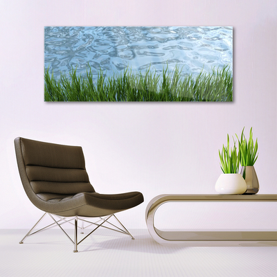 Tableaux sur verre Eau herbe nature vert bleu