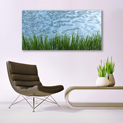 Tableaux sur verre Eau herbe nature vert bleu