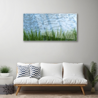 Tableaux sur verre Eau herbe nature vert bleu