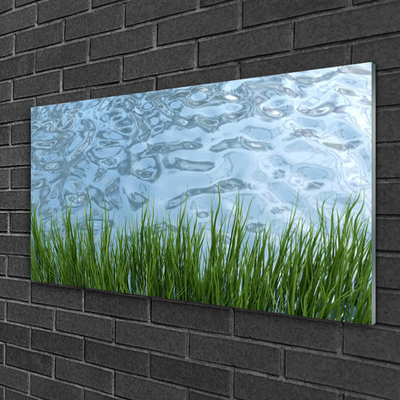 Tableaux sur verre Eau herbe nature vert bleu