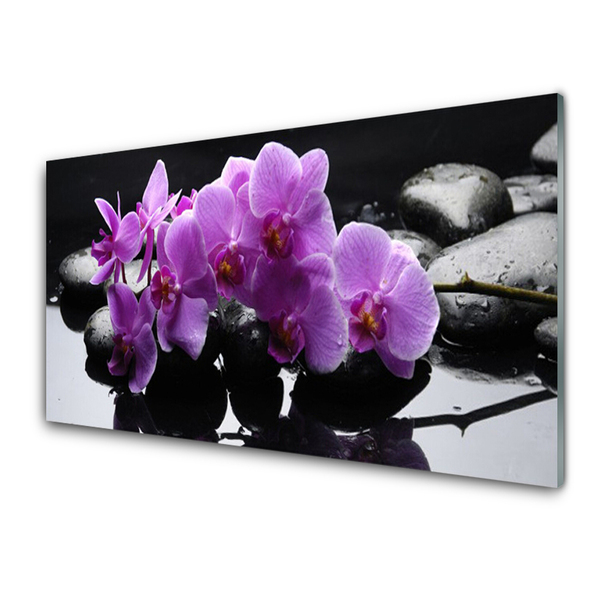 Tableaux sur verre Pierres fleurs floral rose noir