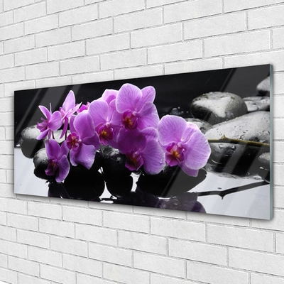 Tableaux sur verre Pierres fleurs floral rose noir