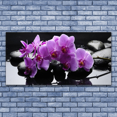 Tableaux sur verre Pierres fleurs floral rose noir