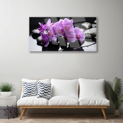 Tableaux sur verre Pierres fleurs floral rose noir