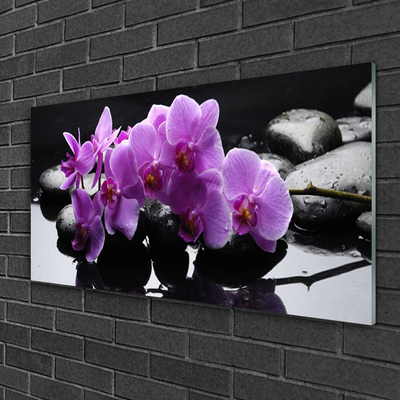 Tableaux sur verre Pierres fleurs floral rose noir