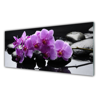 Tableaux sur verre Pierres fleurs floral rose noir