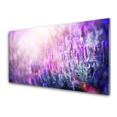 Tableaux sur verre Fleurs floral rose violet