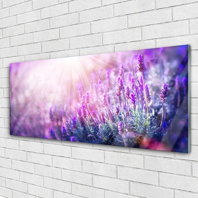 Tableaux sur verre Fleurs floral rose violet