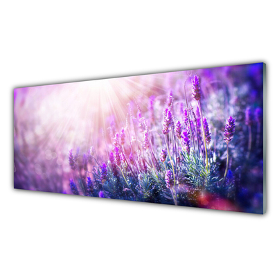 Tableaux sur verre Fleurs floral rose violet