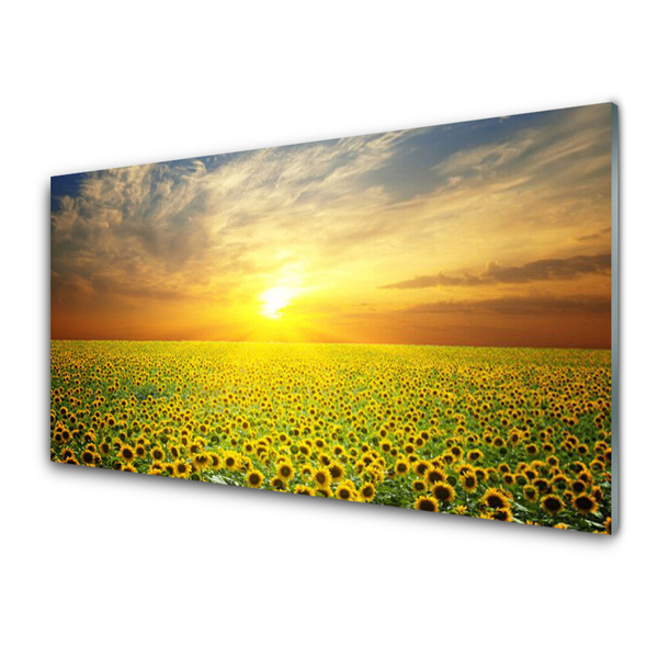 Tableaux sur verre Prairie tournesols nature jaune brun vert