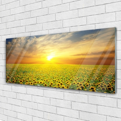 Tableaux sur verre Prairie tournesols nature jaune brun vert