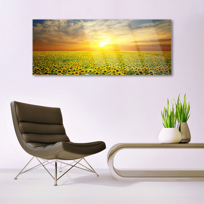 Tableaux sur verre Prairie tournesols nature jaune brun vert