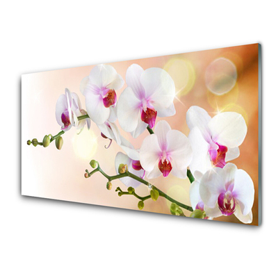 Tableaux sur verre Fleurs floral blanc rose