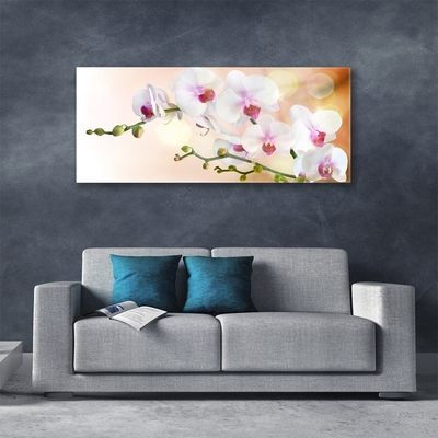 Tableaux sur verre Fleurs floral blanc rose